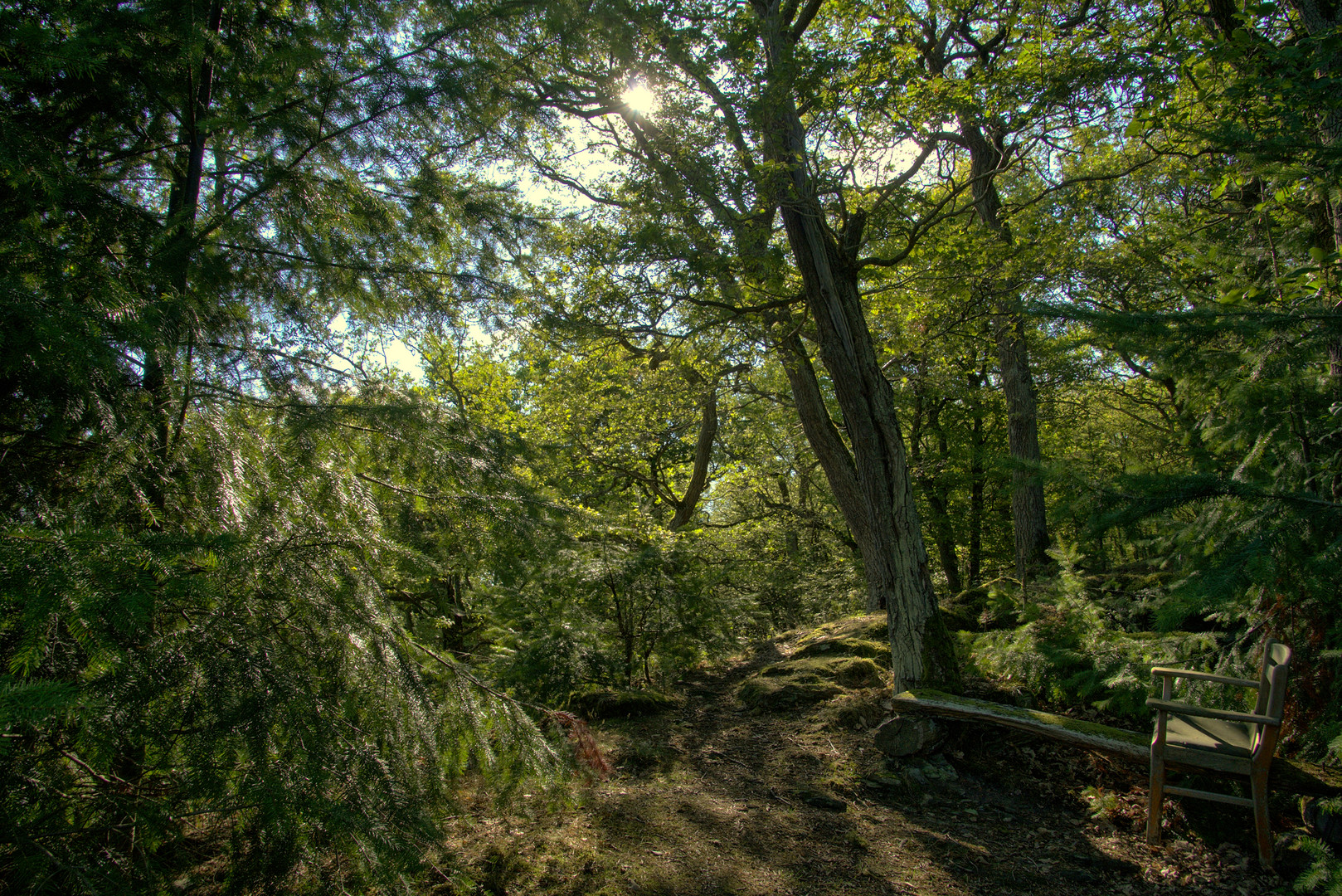 Ein Stuhl im mystischen Wald