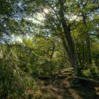 Ein Stuhl im mystischen Wald