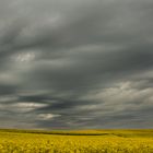 Ein Sturm kommt auf