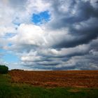 Ein Sturm zieht auf