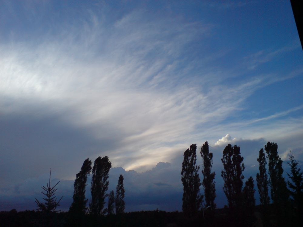 Ein Sturm zieht auf .....