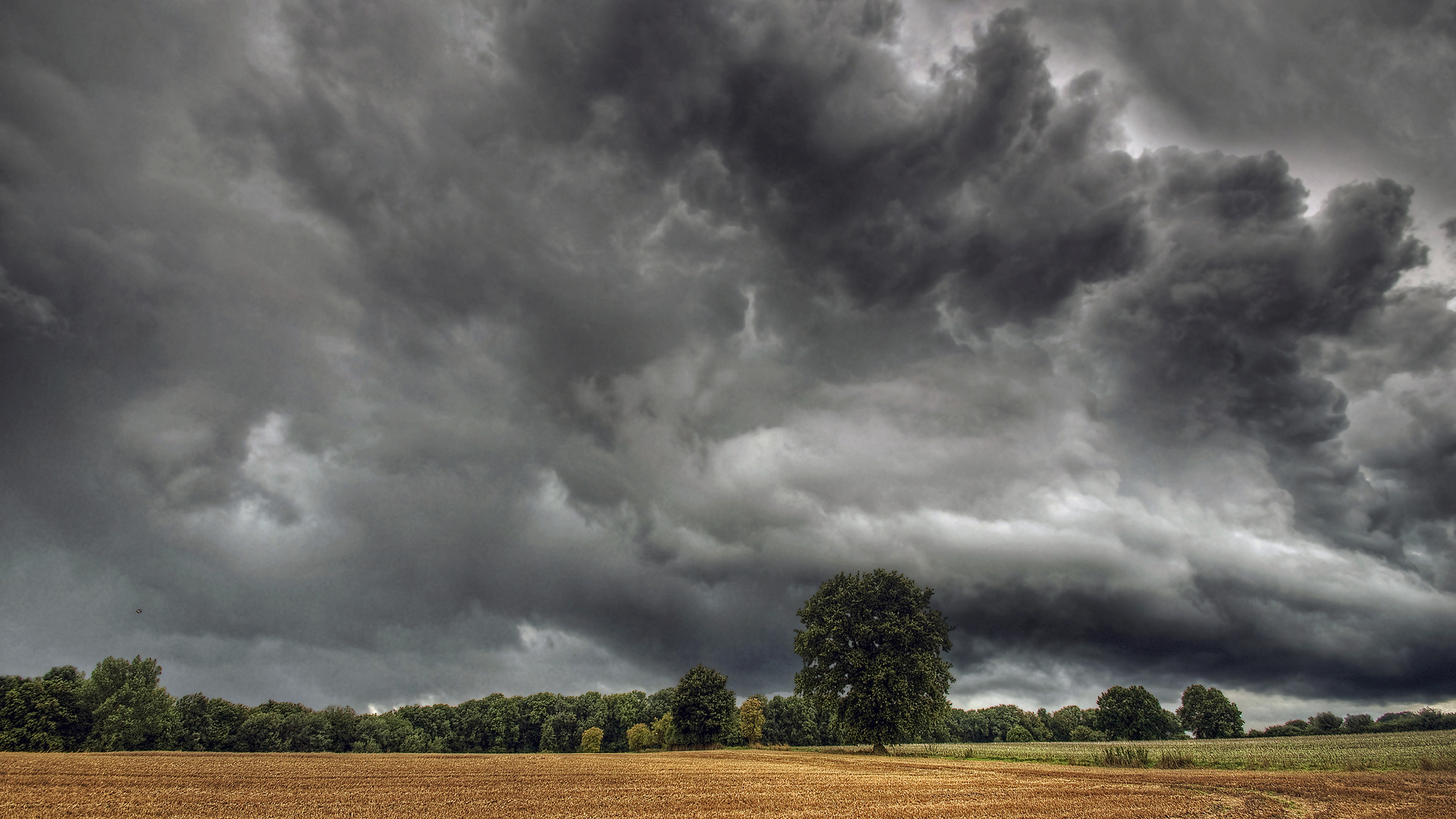 Ein Sturm zieht auf.