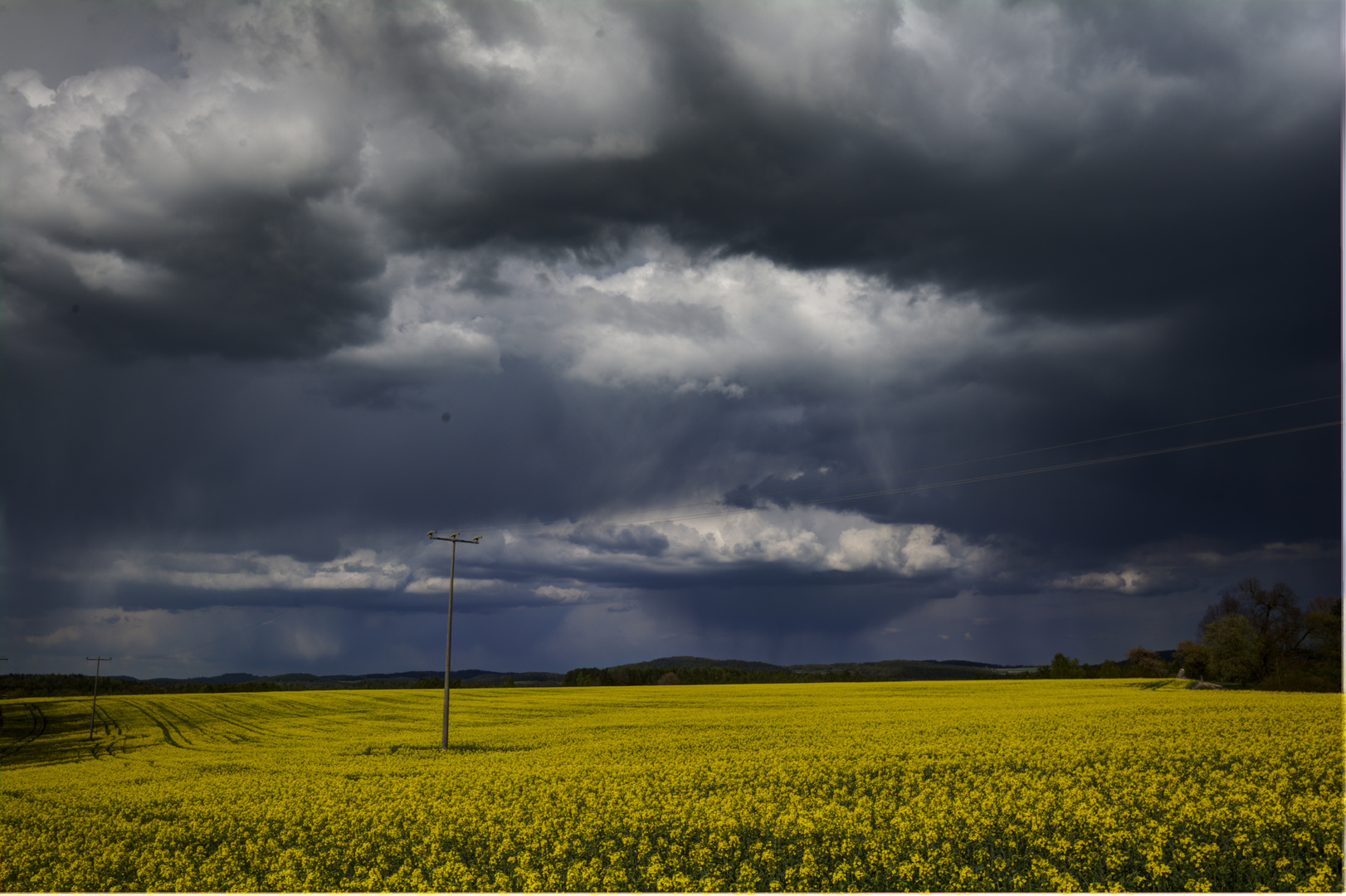 Ein Sturm Zieht Auf Ein Sturm Zieht Auf