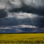 Ein Sturm zieht auf