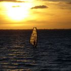 Ein Surfer im Sonnenuntergang !