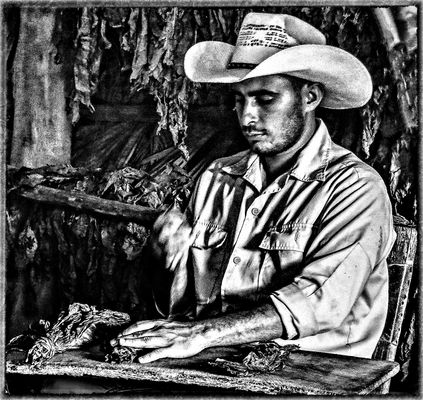 EIN TABAKPFLANZER IN KUBA...