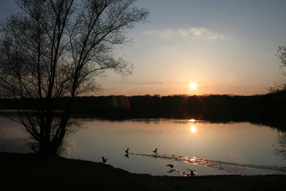 Ein Tänzchen im Abendrot