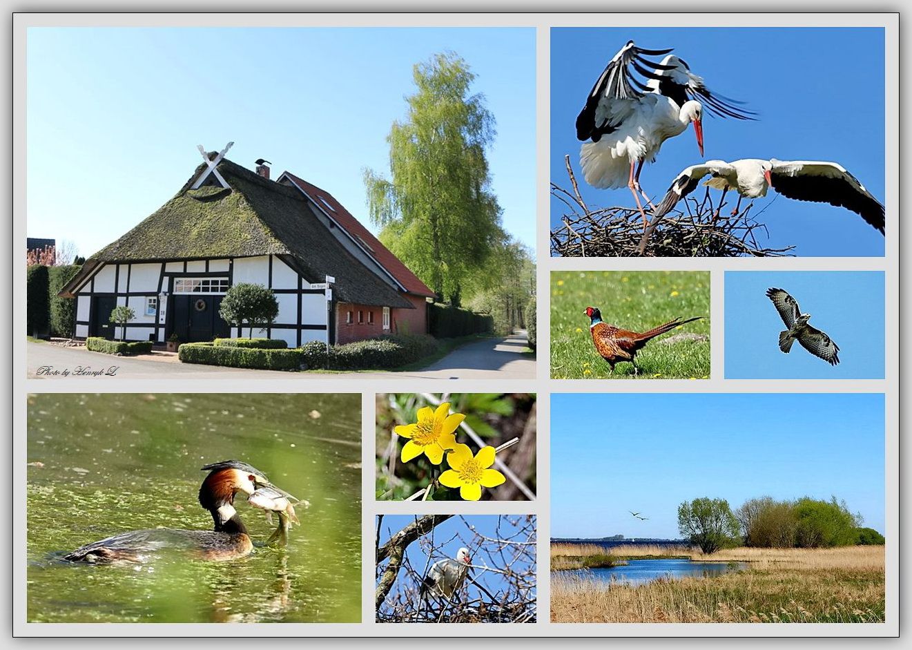 Ein Tag am Dümmer See