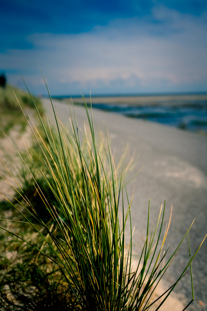 Ein Tag am Meer 