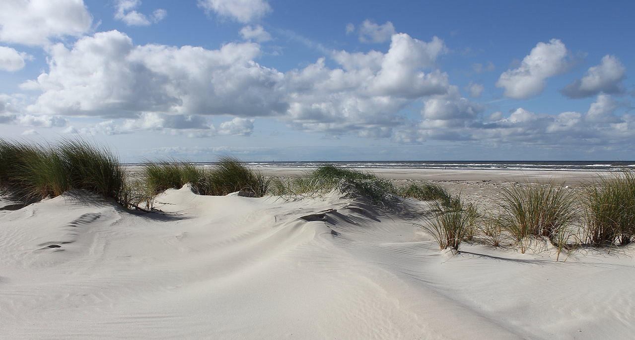 Ein Tag am Meer