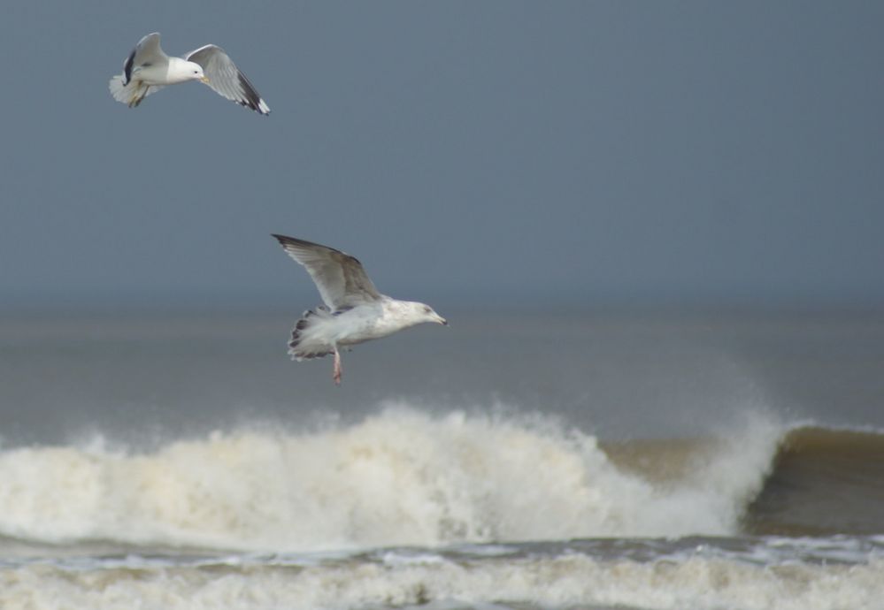 Ein Tag am Meer