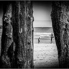 - EIN TAG AM MEER -
