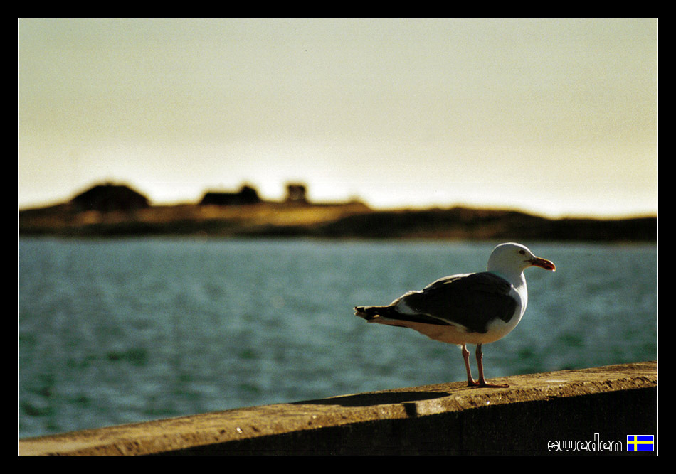 Ein Tag am Meer