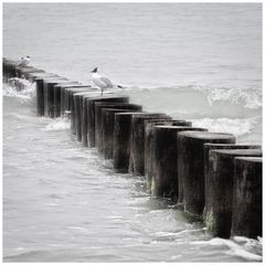 ein Tag am Meer