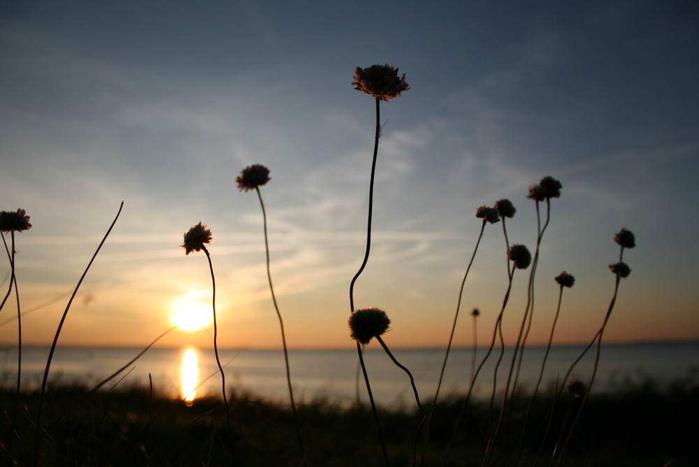 ein Tag am Meer