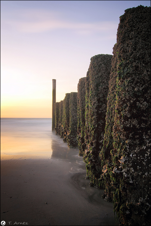 Ein Tag am Meer