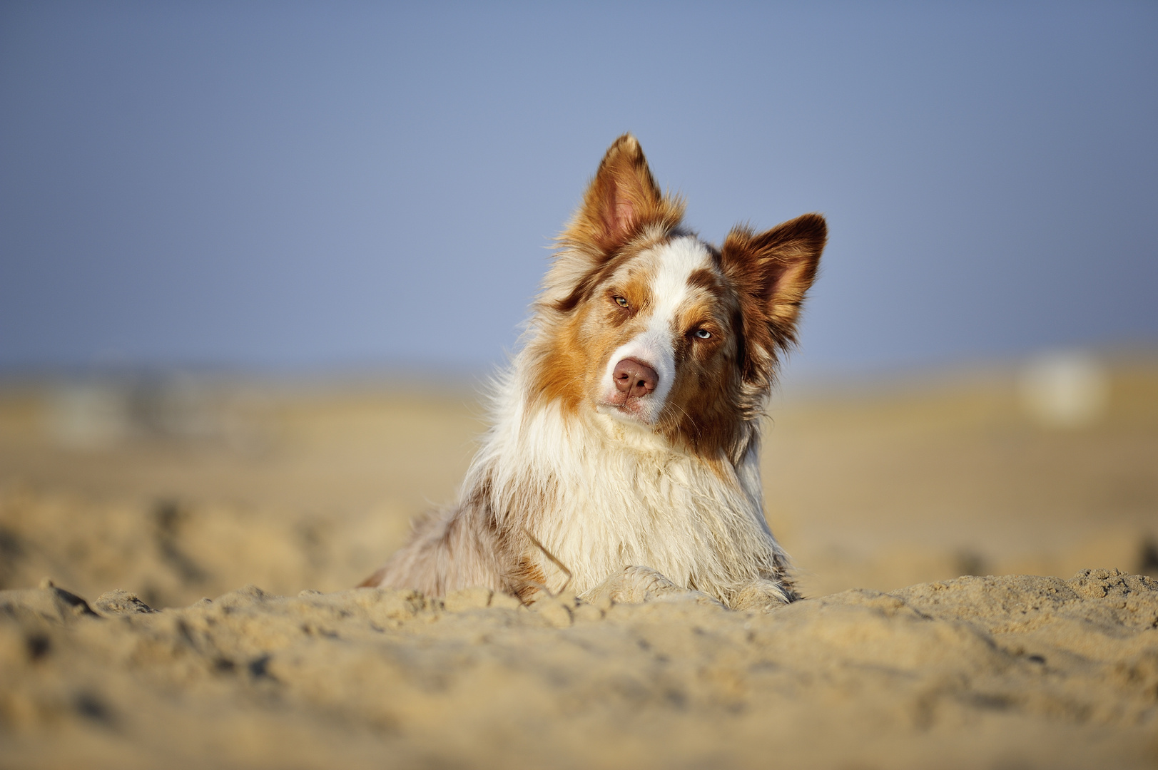 Ein Tag am Meer