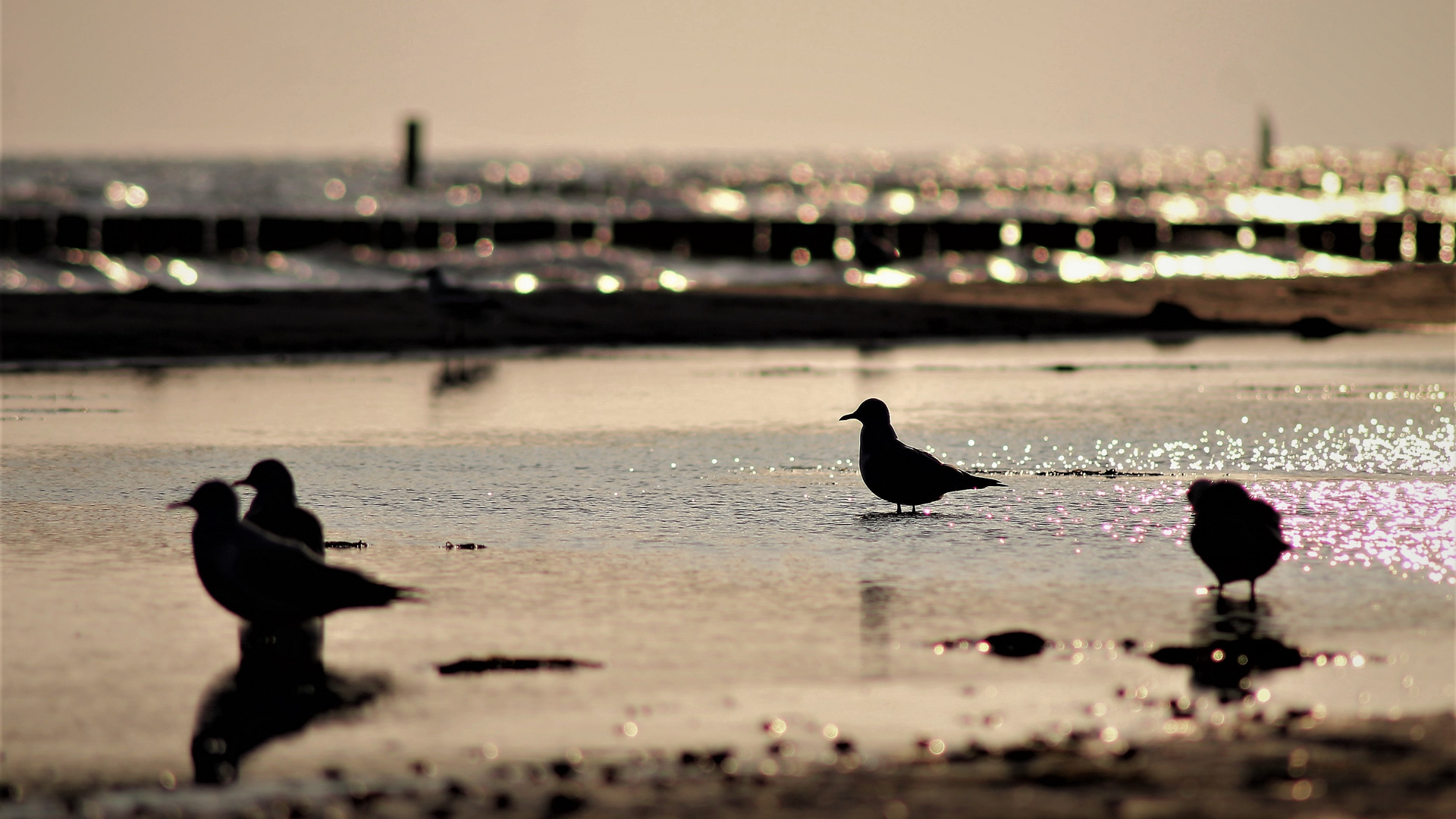 Ein Tag am Meer...