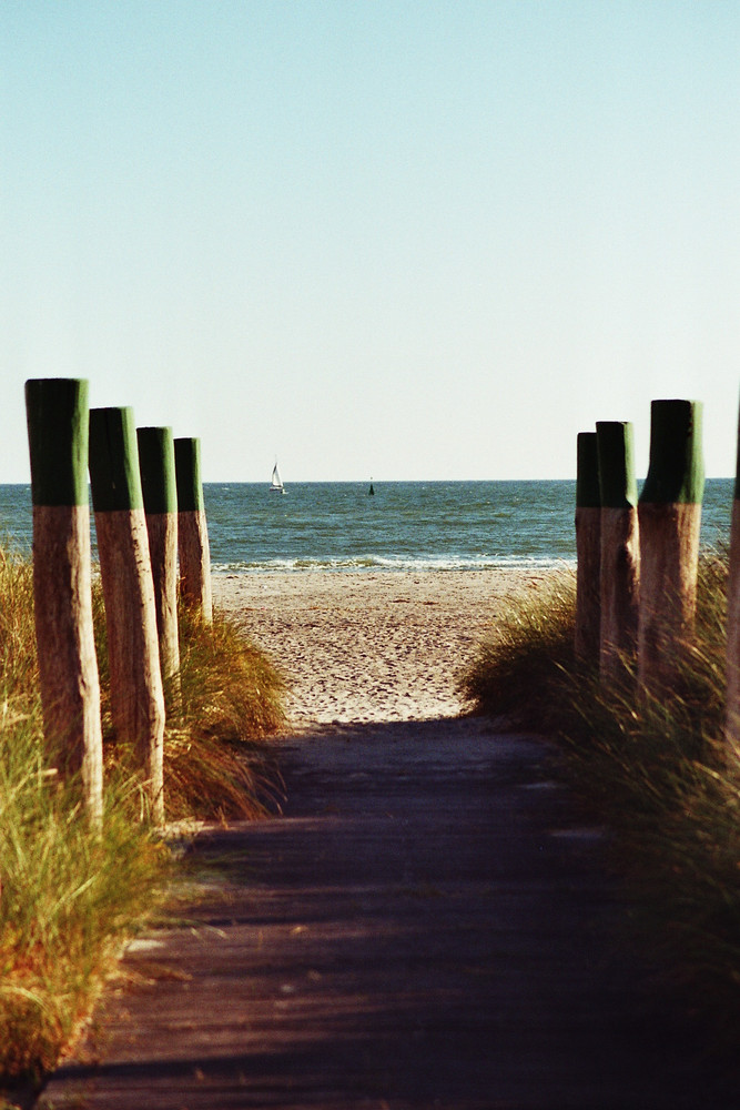 Ein Tag am Meer