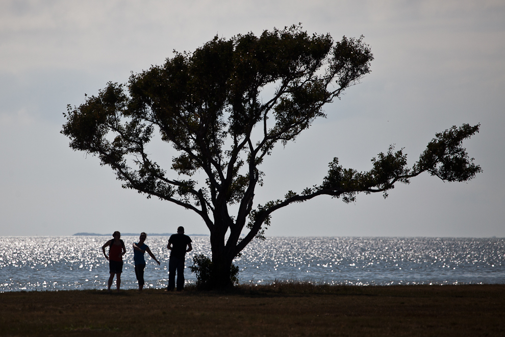 Ein Tag am Meer