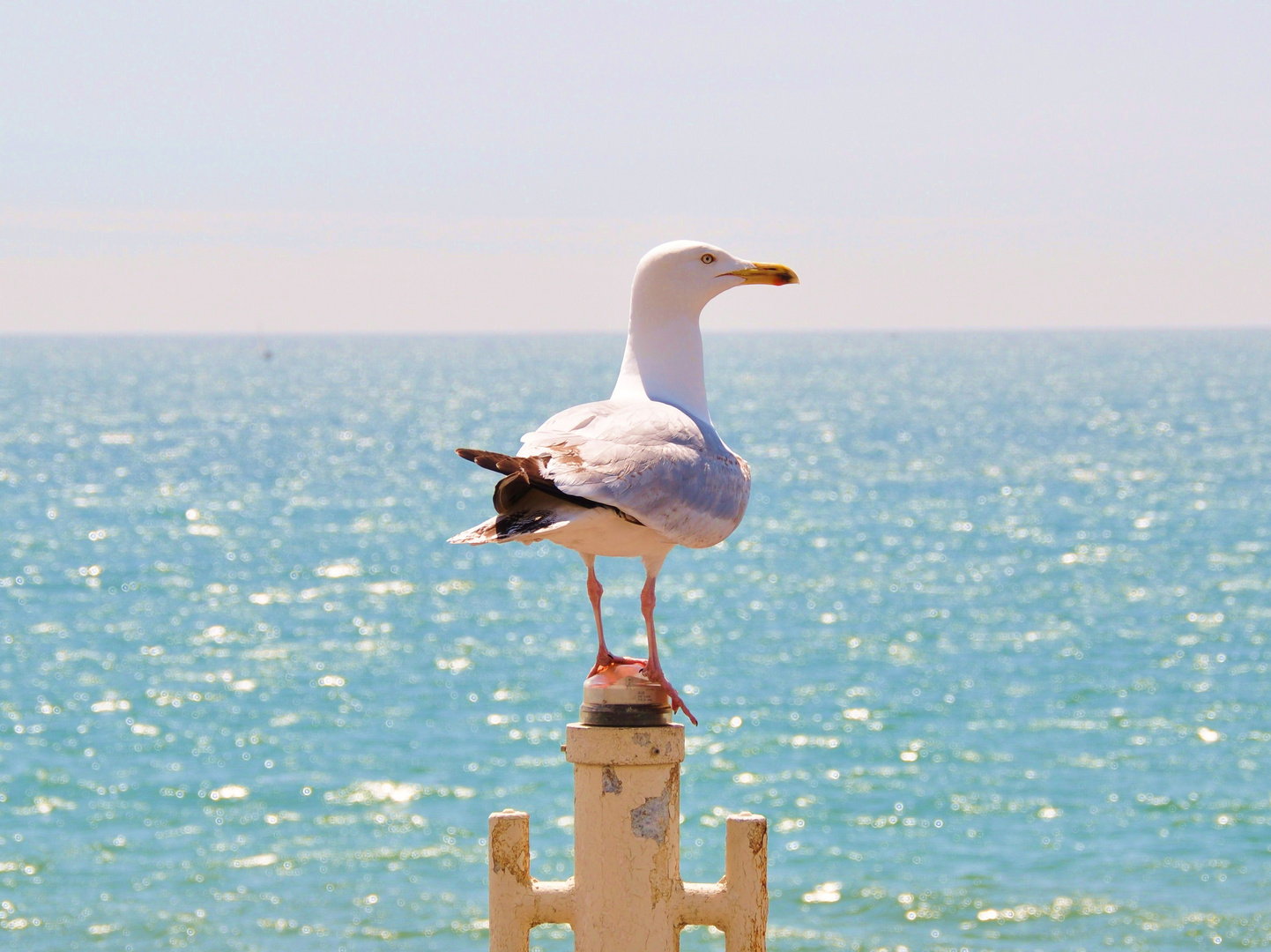 Ein Tag am Pier