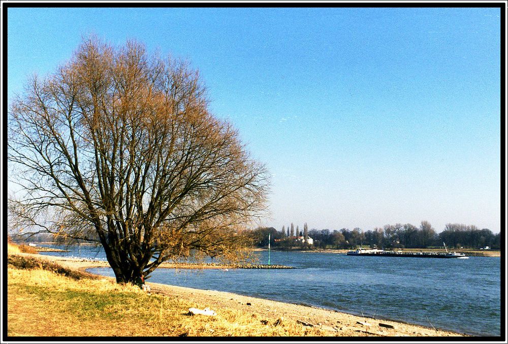 EIN TAG AM RHEIN BEI LANKST