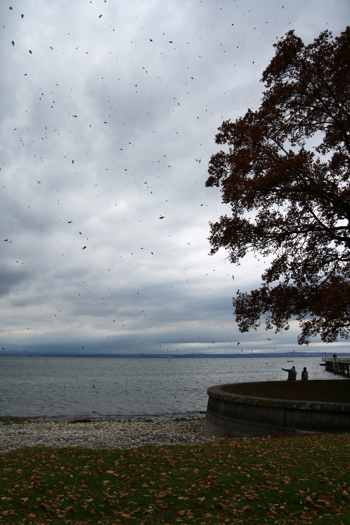 Ein Tag am See