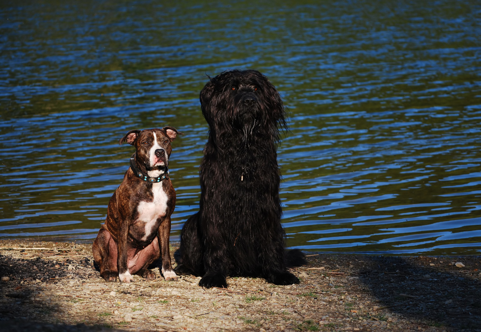 ein Tag am See