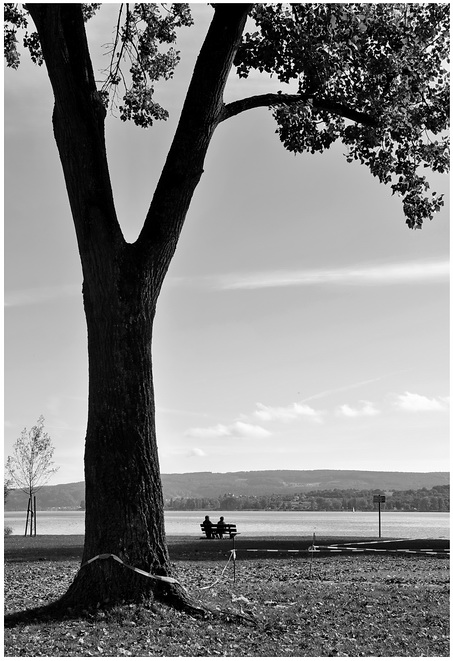 Ein Tag am See