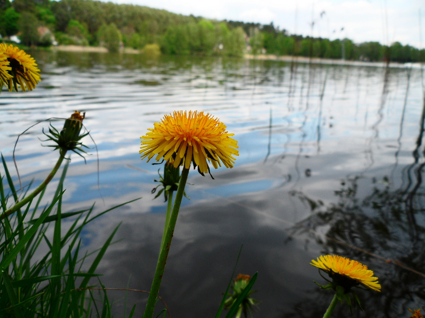 ein tag am see