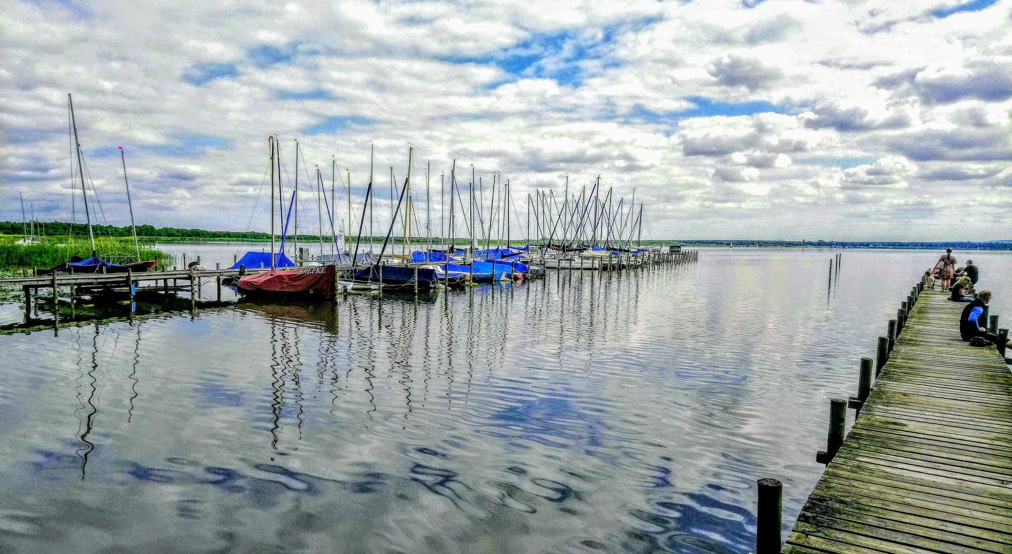 Ein Tag am Steinhuder Meer