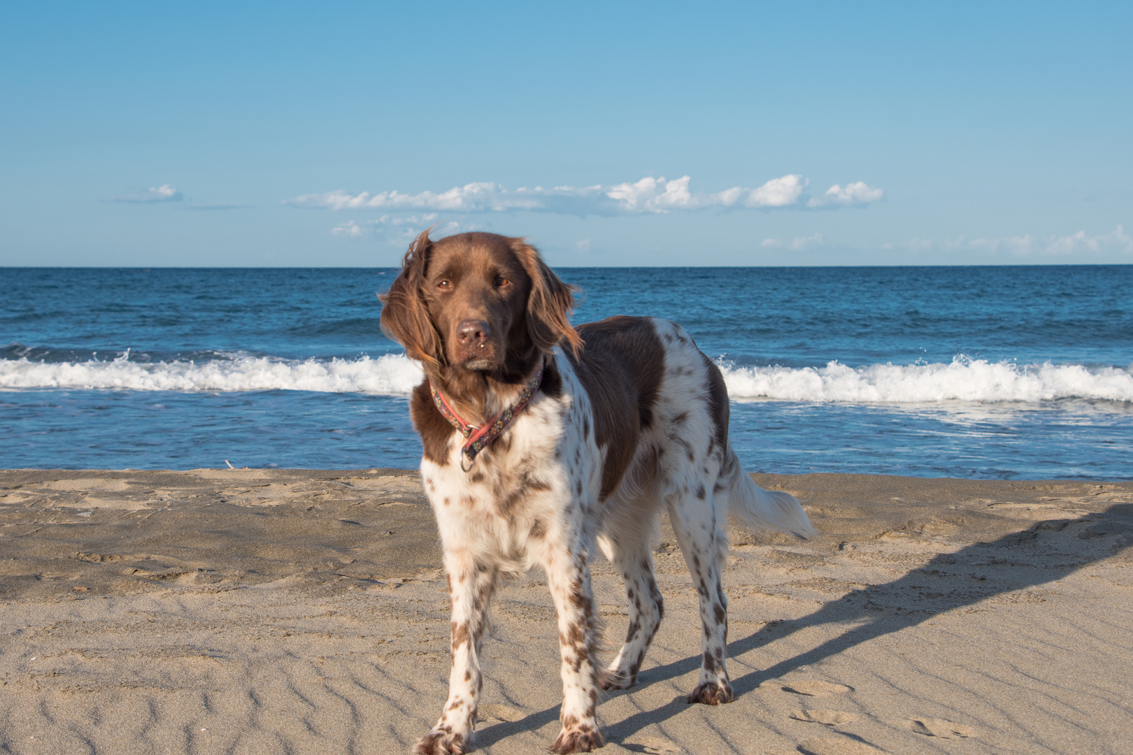 Ein Tag am Strand 