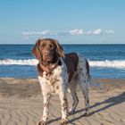 Ein Tag am Strand 