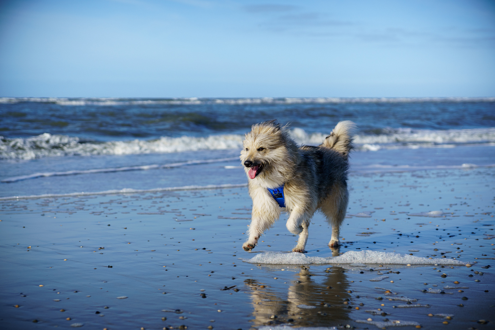 Ein Tag am Strand