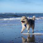 Ein Tag am Strand