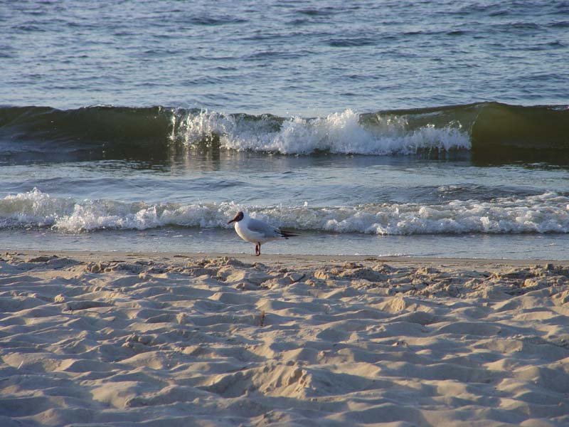 ein Tag am Strand