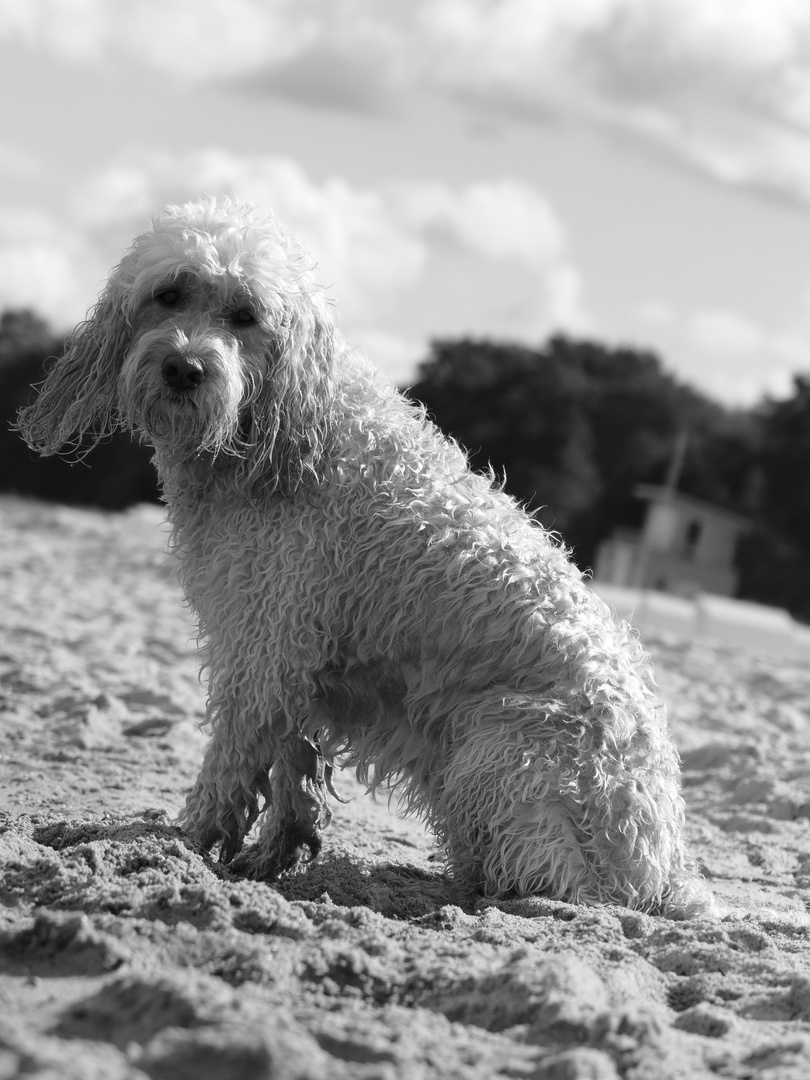 ein Tag am Strand