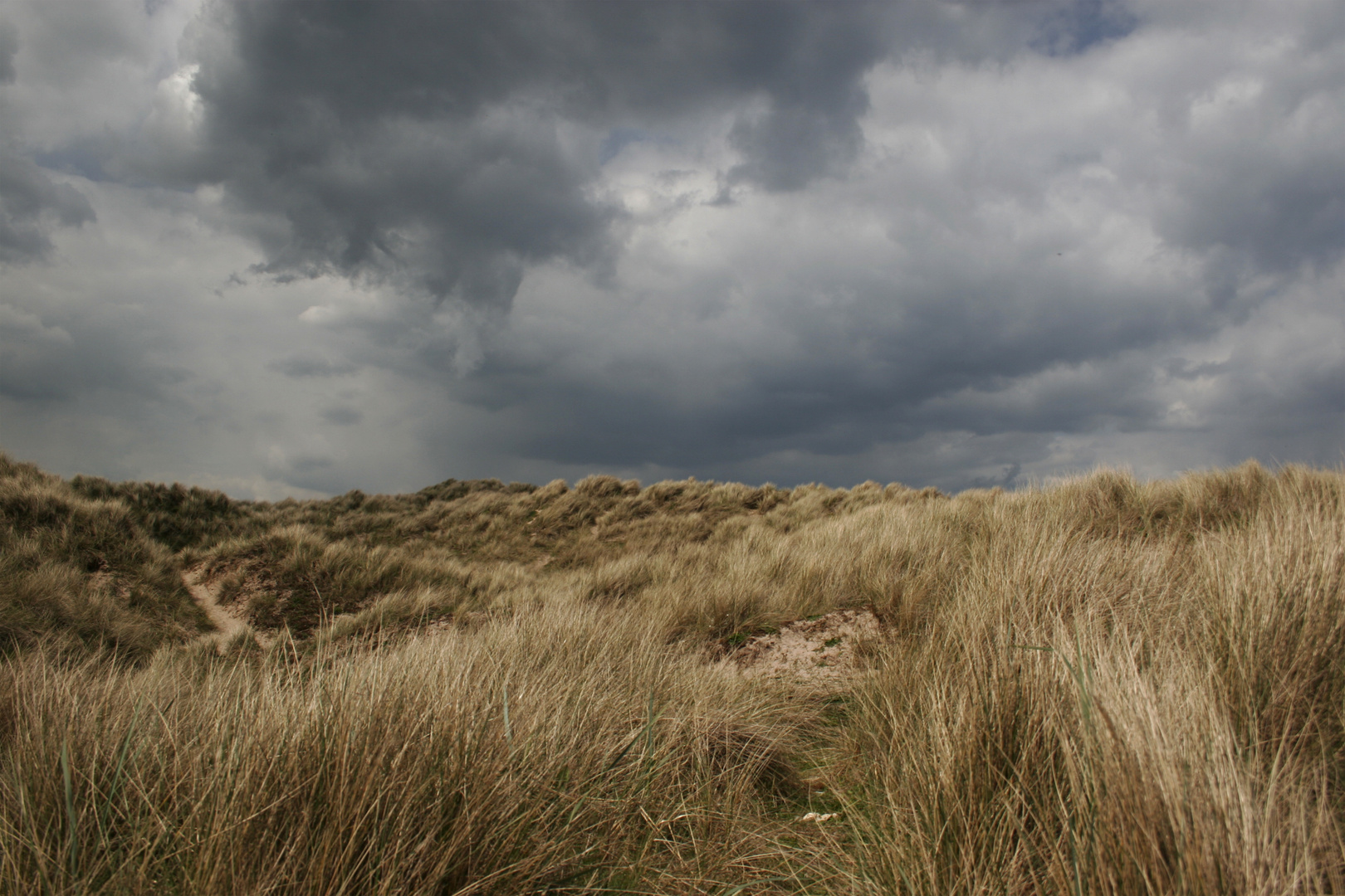 Ein Tag am Strand