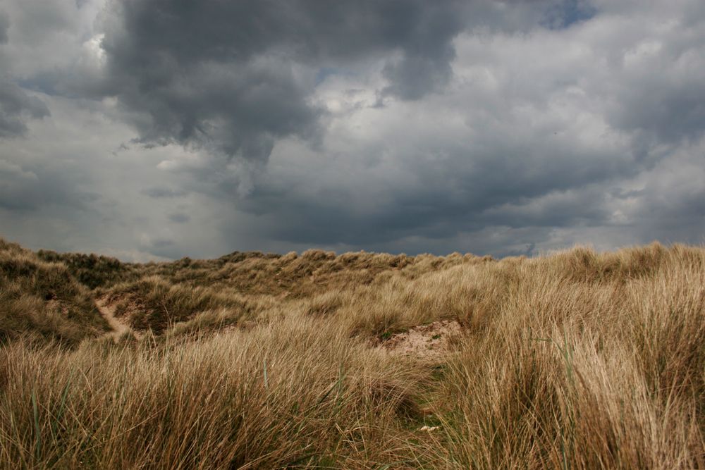 Ein Tag am Strand