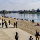 Ein Tag am Strand(- Bad) Mannheim