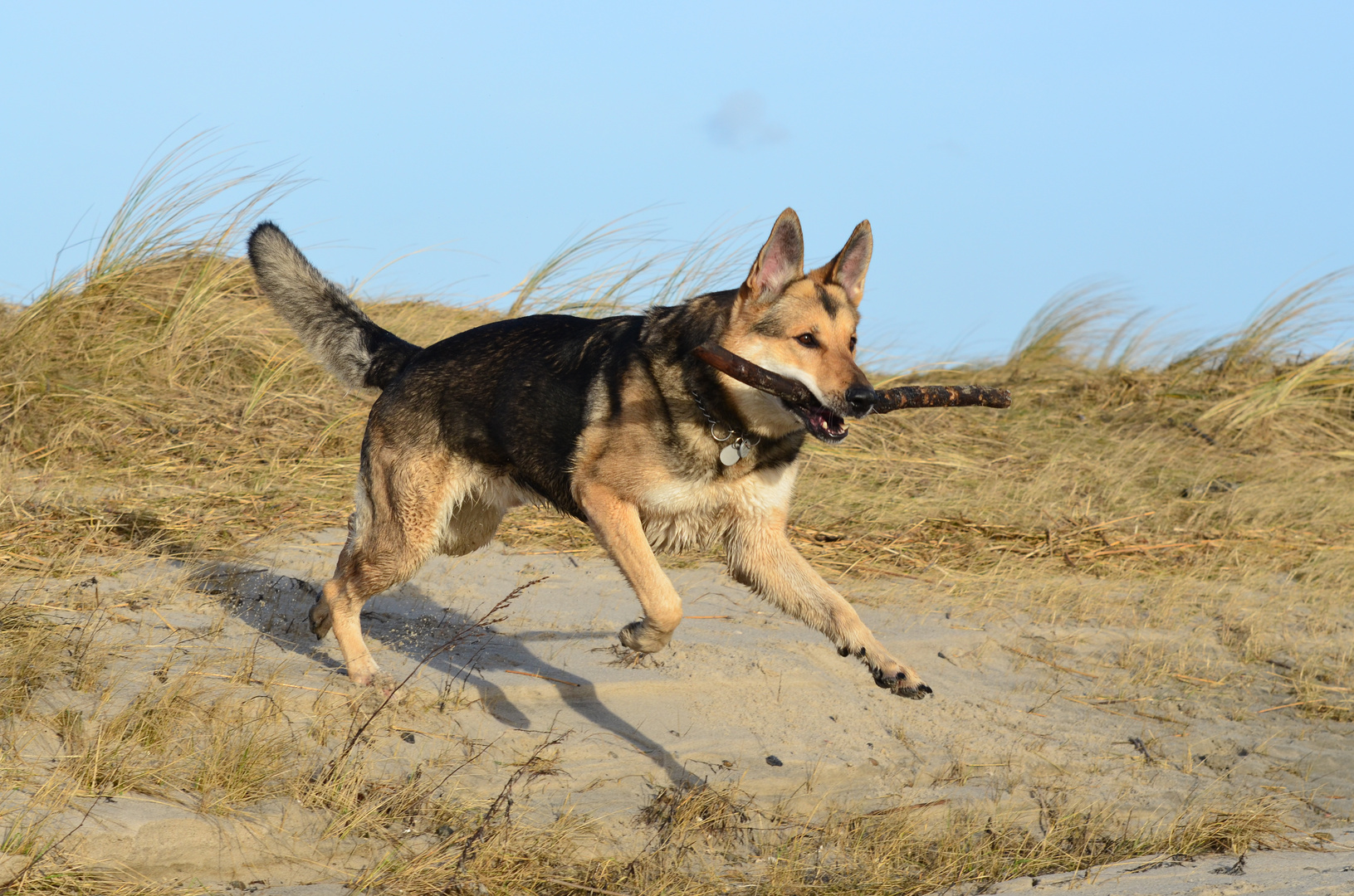 Ein Tag am Strand