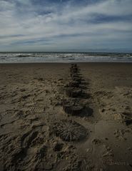 Ein Tag am Strand ja es waren zwei.