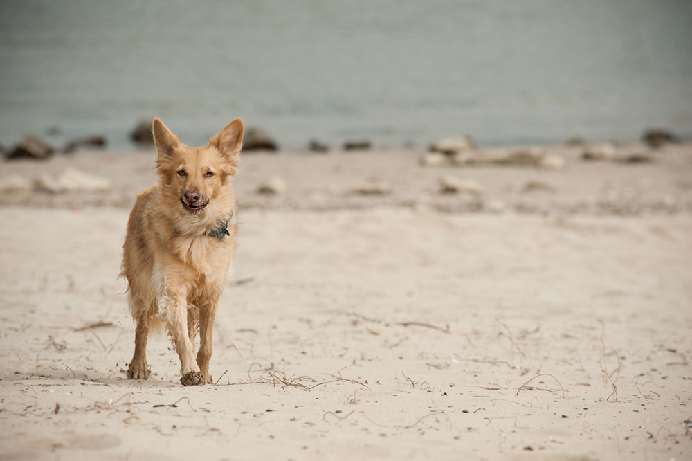 ein tag am strand - Unterbilk