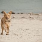 ein tag am strand - Unterbilk