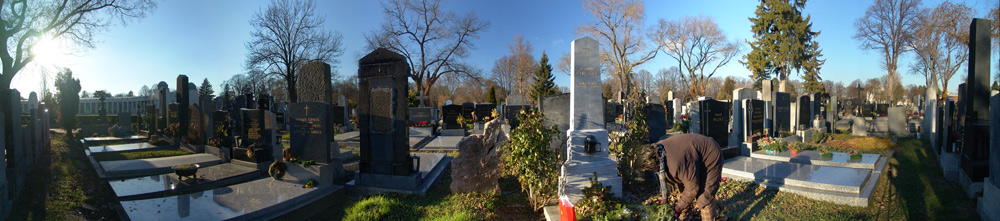 Ein Tag am Wiener Zentralfriedhof