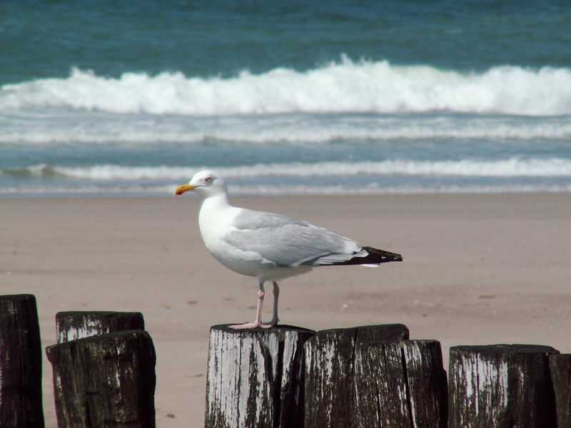 Ein Tag an der Nordsee