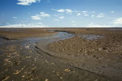 Ein Tag an der Nordsee - III Muschelbank im Priel, Cuxhaven