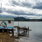 Ein Tag auf der Otago Peninsula
