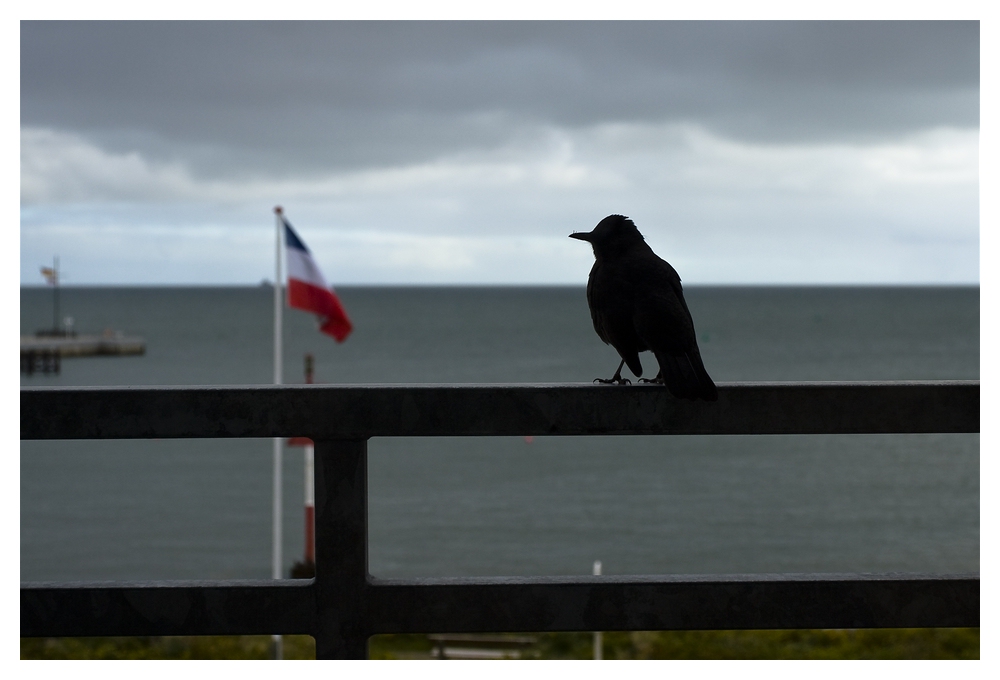 Ein Tag auf Helgoland - 5