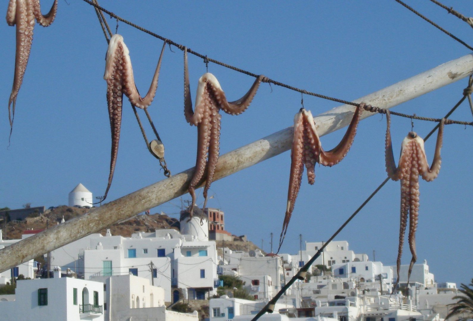 Ein Tag auf Mykonos